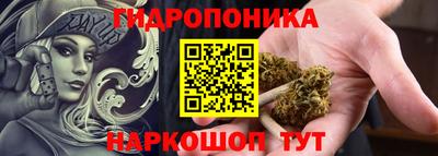 шишки Абинск