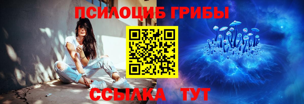Галлюциногенные грибы Psilocybe Азнакаево